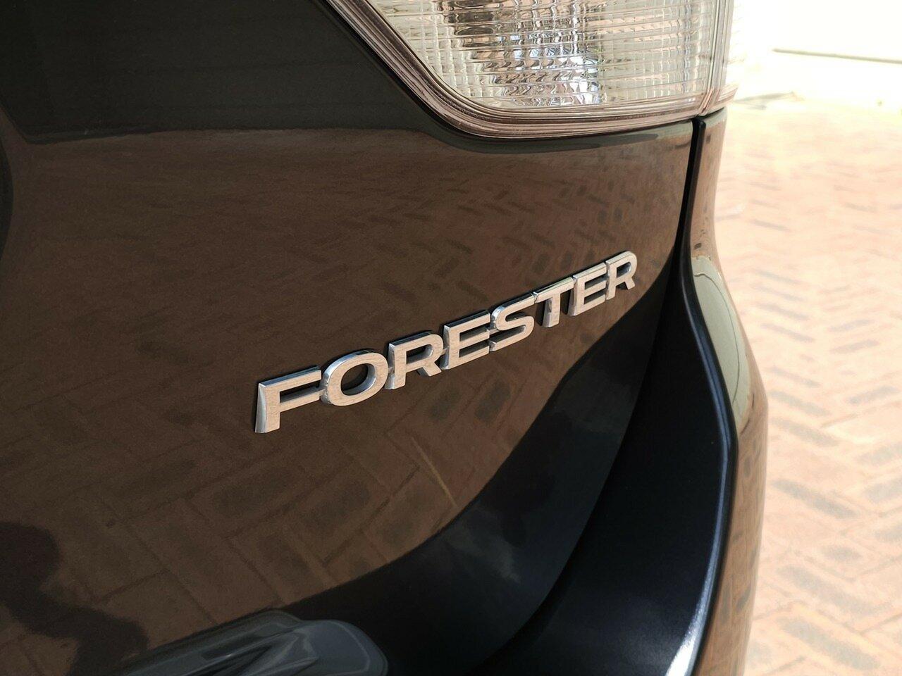 Subaru Forester image 3