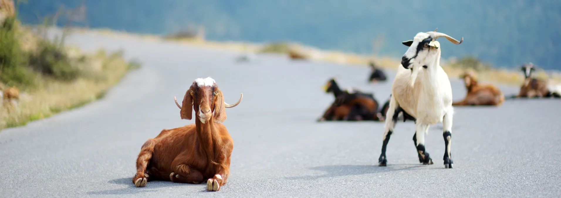 Screenshot 2024 05 01 115838