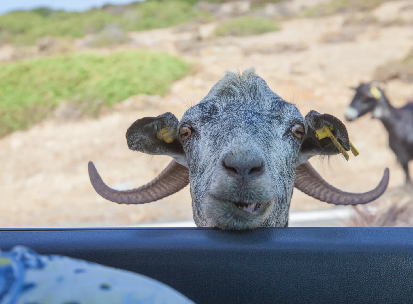 Screenshot 2024 05 01 120026